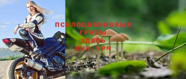 дживик Балахна