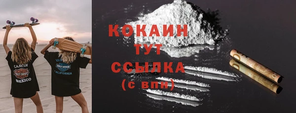 дживик Балахна