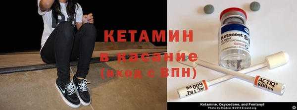 индика Снежногорск