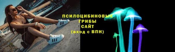 ГАЛЛЮЦИНОГЕННЫЕ ГРИБЫ Баксан
