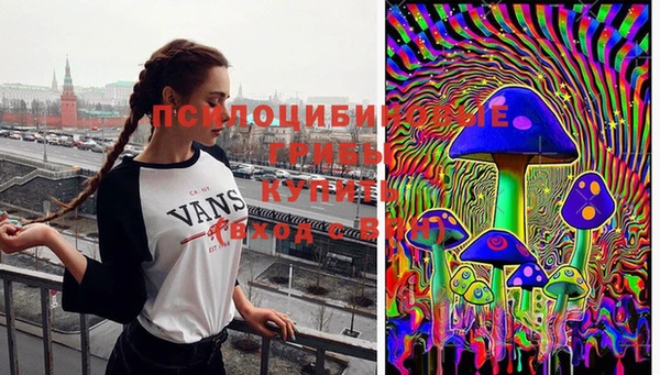 дживик Балахна