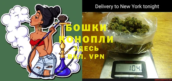 дживик Балахна