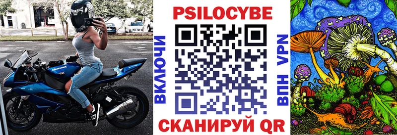 сколько стоит  Баксан  Галлюциногенные грибы Magic Shrooms 