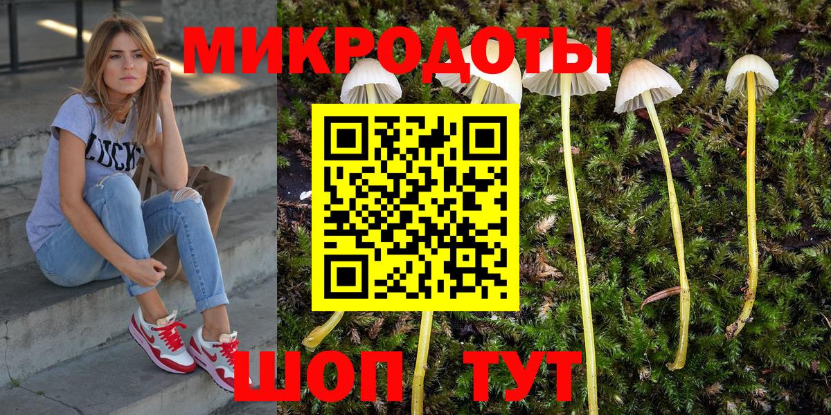Галлюциногенные грибы GOLDEN TEACHER  Псилоцибиновые грибы Psilocybe  Баксан  Вход с VPN 